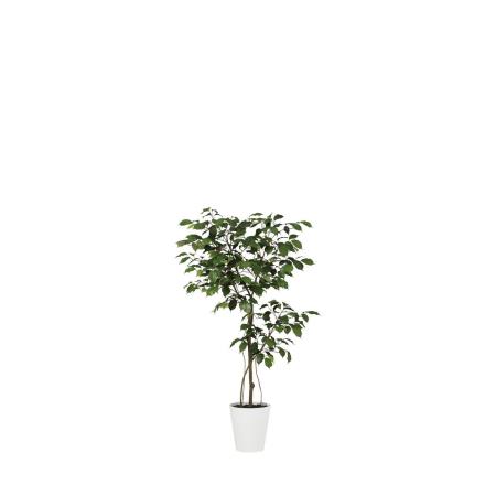 特価◎【直送】【人工観葉植物】東花/Stylish Green ベンジャミン FST/99384 ※返品・代引・キャンセル不可
