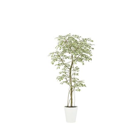 特価◎【直送】【人工観葉植物】東花/Stylish Green スターライト FST/99392 ※返品・代引・キャンセル不可