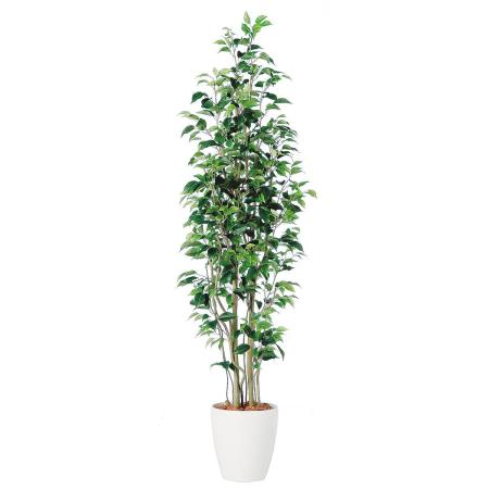 特価◎【直送】【人工観葉植物】東花/Stylish Green ベンジャミン スリム FST/98647 ※返品・代引・キャンセル不可