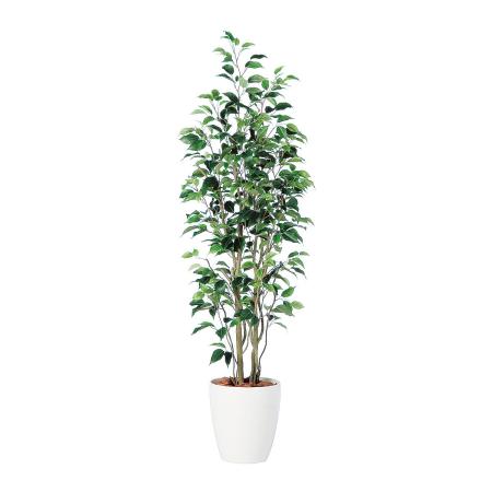 【直送】【人工観葉植物】東花/Stylish Green ベンジャミン スリム FST/98649 ※返品・代引・キャンセル不可