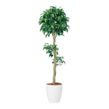 特価◎【直送】【人工観葉植物】東花/Stylish Green ベンジャミン トピアリー FST/98659 ※返品・代引・キャンセル不可