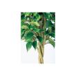 特価◎【直送】【人工観葉植物】東花/Stylish Green ベンジャミン トピアリー FST/98659 ※返品・代引・キャンセル不可