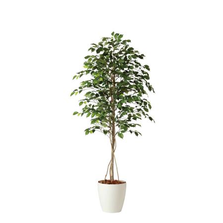 特価◎【直送】【人工観葉植物】東花/Stylish Green フィッカスベンジャミナ/98518 ※返品・代引・キャンセル不可
