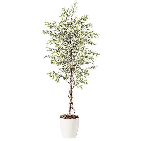 特価◎【直送】【人工観葉植物】東花/Stylish Green ベンジャミナスターライト/98524 ※返品・代引・キャンセル不可