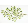 特価◎【直送】【人工観葉植物】東花/Stylish Green ベンジャミナスターライト/98524 ※返品・代引・キャンセル不可