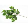 特価◎【直送】【人工観葉植物】東花/Stylish Green ベンジャミナスプラッシュ/98530 ※返品・代引・キャンセル不可