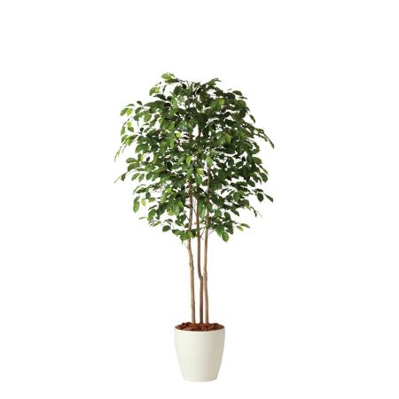 特価◎【直送】【人工観葉植物】東花/Stylish Green フィッカスベンジャミナトリプル/91242 ※返品・代引・キャンセル不可