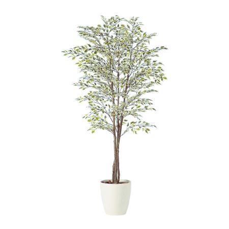 特価◎【直送】【人工観葉植物】東花/Stylish Green ベンジャミナスターライトトリプル/91248 ※返品・代引・キャンセル不可