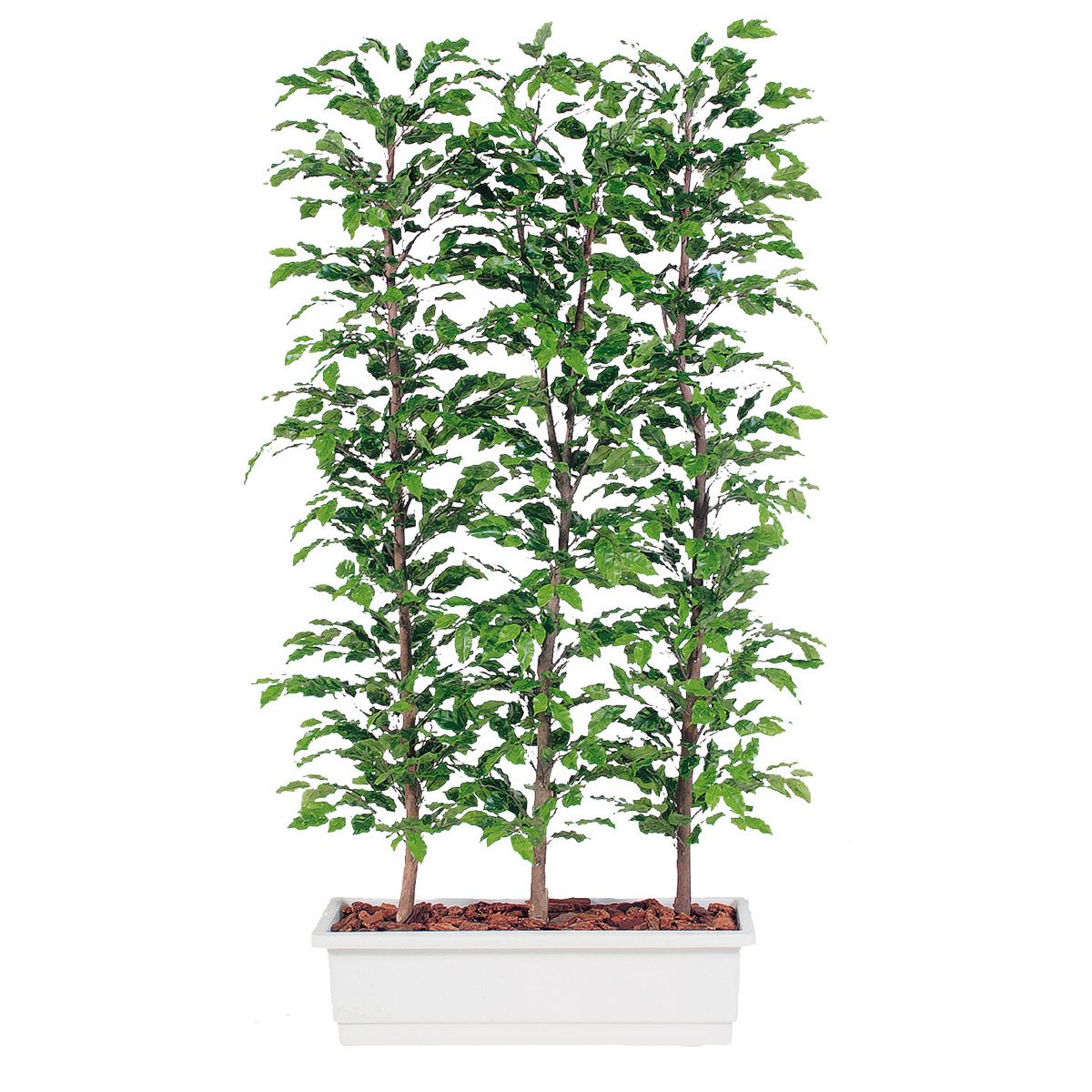 光触媒　人工観葉植物　ベンジャミナスプラッシュセパレート 300cm 特価◎【直送】【人工観葉植物】東花/Stylish Green ベンジャミナ