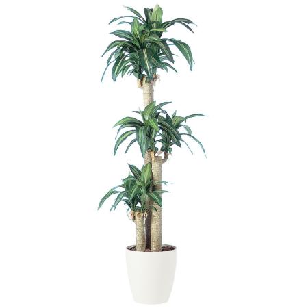 特価◎【直送】【人工観葉植物】東花/Stylish Green マッサンゲアナ/91261 ※返品・代引・キャンセル不可