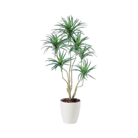 特価◎【直送】【人工観葉植物】東花/Stylish Green コンシナトリコロル/98551 ※返品・代引・キャンセル不可