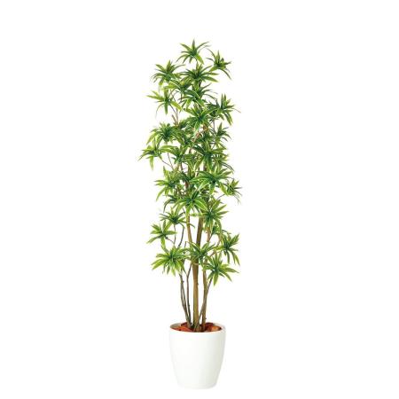 特価◎【直送】【人工観葉植物】東花/Stylish Green ソング・オブ・インディア FST/98900 ※返品・代引・キャンセル不可