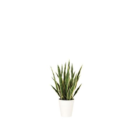 【人工観葉植物】東花/Stylish Green サンスベリア/99522