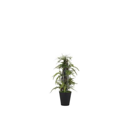 【人工観葉植物】東花/Stylish Green ミックスファンヘゴ/99410