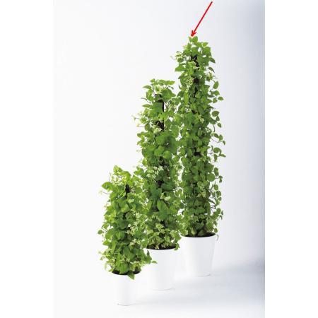 特価◎【直送】【人工観葉植物】東花/Stylish Green MIXヘゴ　ライム/ライム/91800 ※返品・代引・キャンセル不可