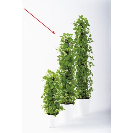 特価◎【直送】【人工観葉植物】東花/Stylish Green MIXヘゴ　ライム/ライム/91801 ※返品・代引・キャンセル不可