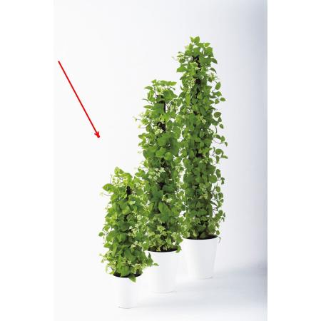 特価◎【直送】【人工観葉植物】東花/Stylish Green MIXヘゴ　ライム/ライム/91802 ※返品・代引・キャンセル不可