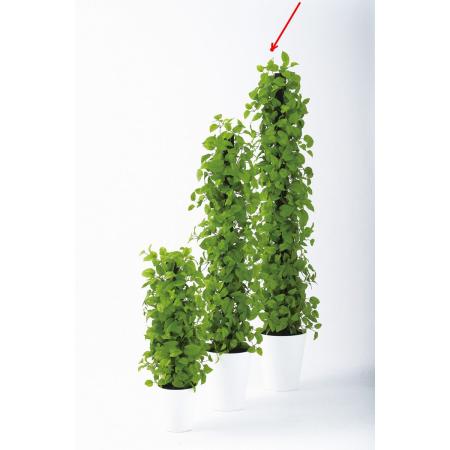 特価◎【直送】【人工観葉植物】東花/Stylish Green ライムポトスヘゴ/99304 ※返品・代引・キャンセル不可
