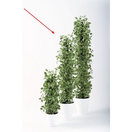 【直送】【人工観葉植物】東花/Stylish Green マーブルポトスヘゴ/91807 ※返品・代引・キャンセル不可