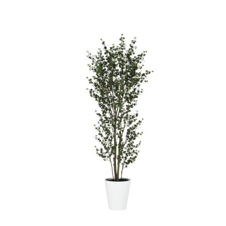 特価◎【直送】【人工観葉植物】東花/Stylish Green ベンジャミンバロック FST/91811 ※返品・代引・キャンセル不可