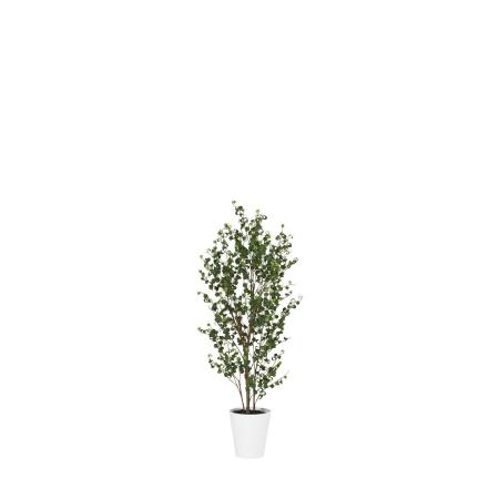 特価◎【直送】【人工観葉植物】東花/Stylish Green ベンジャミンバロック FST/91815 ※返品・代引・キャンセル不可