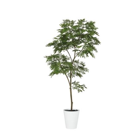 特価◎【直送】【人工観葉植物】東花/Stylish Green エバーフレッシュ FST/99379 ※返品・個人宅配送不可