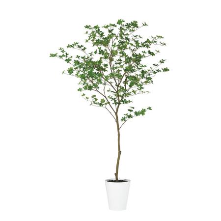【直送】【人工観葉植物】東花/Stylish Green ドウダンツツジ FST/99373 ※返品・個人宅配送不可