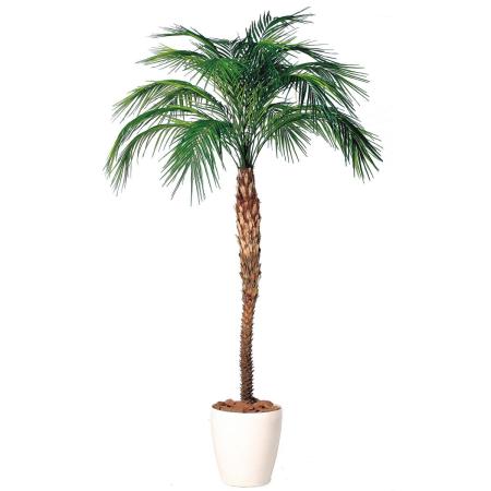 特価◎【直送】【人工観葉植物】東花/Stylish Green フェニックス・ロベレニー/98685 ※返品・代引・キャンセル不可