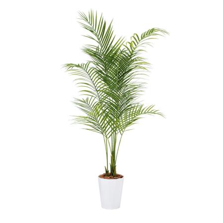 特価◎【直送】【人工観葉植物】東花/Stylish Green アレカヤシ PE/99156 ※返品・代引・キャンセル不可