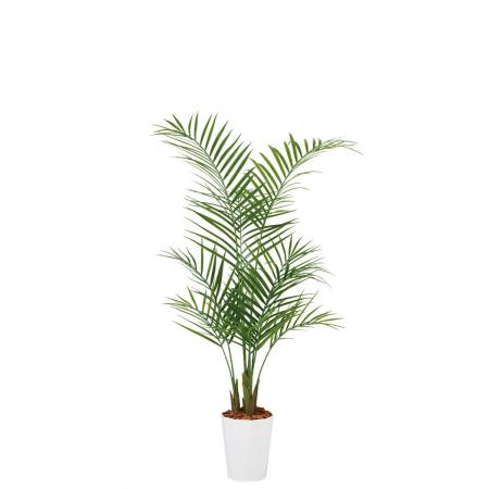 特価◎【直送】【人工観葉植物】東花/Stylish Green アレカヤシ PE/99159 ※返品・代引・キャンセル不可