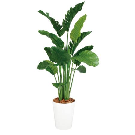 特価◎【直送】【人工観葉植物】東花/Stylish Green ストレリチア・オーガスタ MIX/99172 ※返品・個人宅配送不可