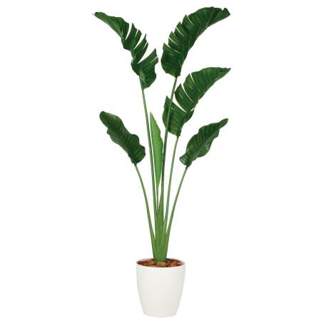 特価◎【直送】【人工観葉植物】東花/Stylish Green ストレリチア・オーガスタ/99163 ※返品・個人宅配送不可