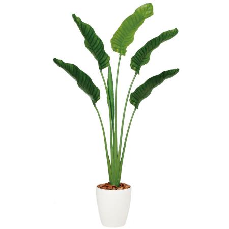 【直送】【人工観葉植物】東花/Stylish Green ストレリチア・オーガスタ/99166 ※返品・代引・キャンセル不可