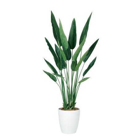 特価◎【直送】【人工観葉植物】東花/Stylish Green ストレリチア・レギネ/99178 ※返品・代引・キャンセル不可