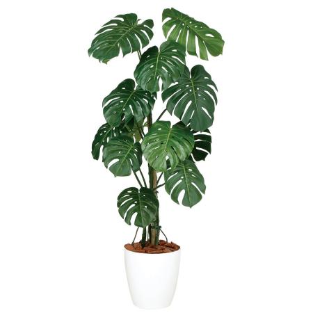 特価◎【直送】【人工観葉植物】東花/Stylish Green モンステラバイン/99127 ※返品・代引・キャンセル不可