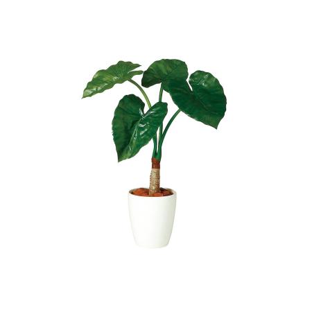 【人工観葉植物】東花/Stylish Green クワズイモ シングル/98884