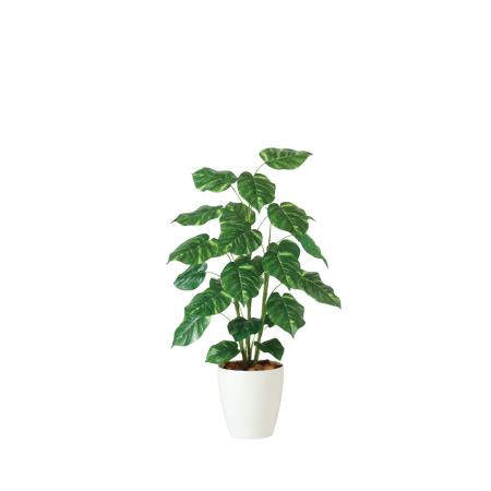 特価◎【直送】【人工観葉植物】東花/Stylish Green ポトス R/91837 ※返品・代引・キャンセル不可