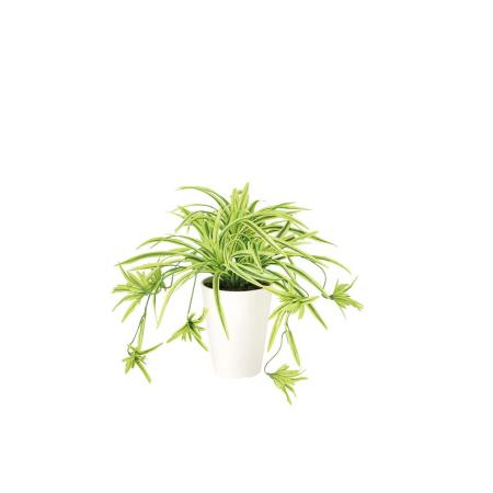 特価◎【直送】【人工観葉植物】東花/Stylish Green オリヅルラン G/Y/91838 ※返品・代引・キャンセル不可