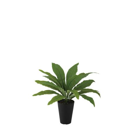 特価◎【直送】【人工観葉植物】東花/Stylish Green タニワタリ/99458 ※返品・代引・キャンセル不可