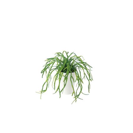特価◎【直送】【人工観葉植物】東花/Stylish Green リプサリス/91642 ※返品・代引・キャンセル不可