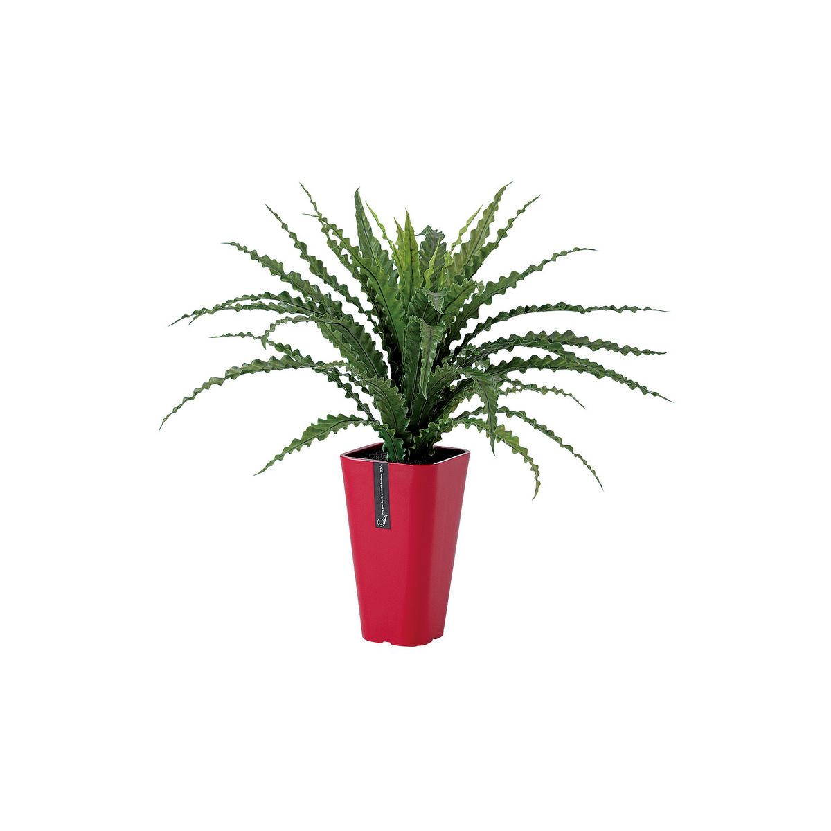 特価◎【直送】【人工観葉植物】東花/Stylish Green アスプレニウム L