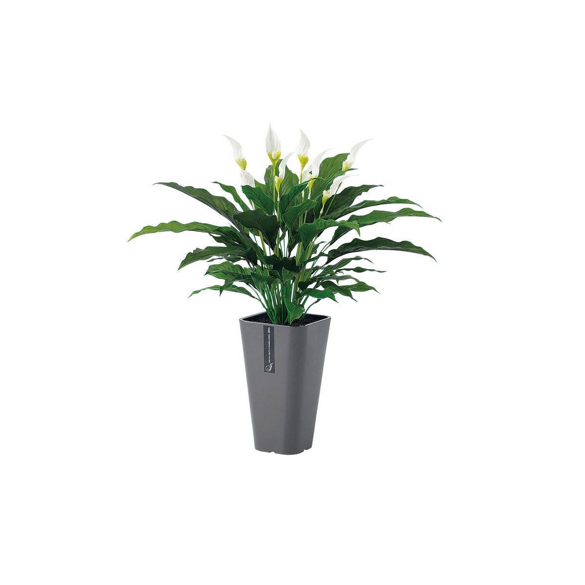 特価◎【直送】【人工観葉植物】東花/Stylish Green スパティフィラム