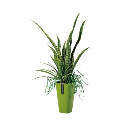 【人工観葉植物】東花/Stylish Green サンスベリア アレンジ/91649