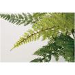 特価◎【直送】【人工観葉植物】東花/Stylish Green レザーファン/99206 ※返品・代引・キャンセル不可