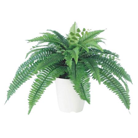 【人工観葉植物】東花/Stylish Green ボストンファンL/98570