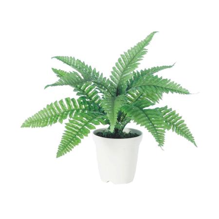 【人工観葉植物】東花/Stylish Green ボストンファンS/98572