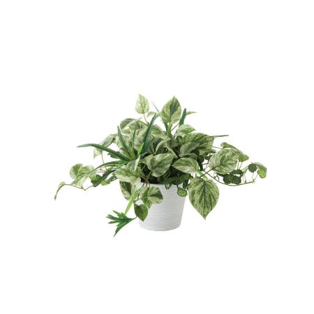 【人工観葉植物】東花/Stylish Green マーブルポトスMIX/99518