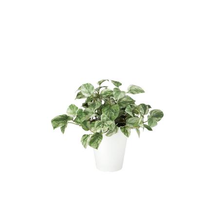 【人工観葉植物】東花/Stylish Green マーブルポトス/99521