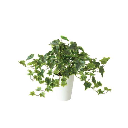 特価◎【直送】【人工観葉植物】東花/Stylish Green グレイシアアイビー/91845 ※返品・代引・キャンセル不可