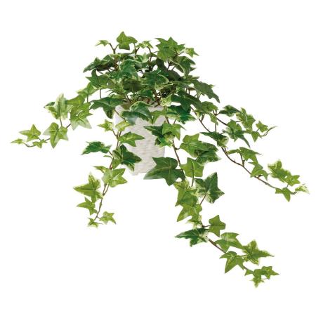 【人工観葉植物】東花/Stylish Green セージアイビー/99182